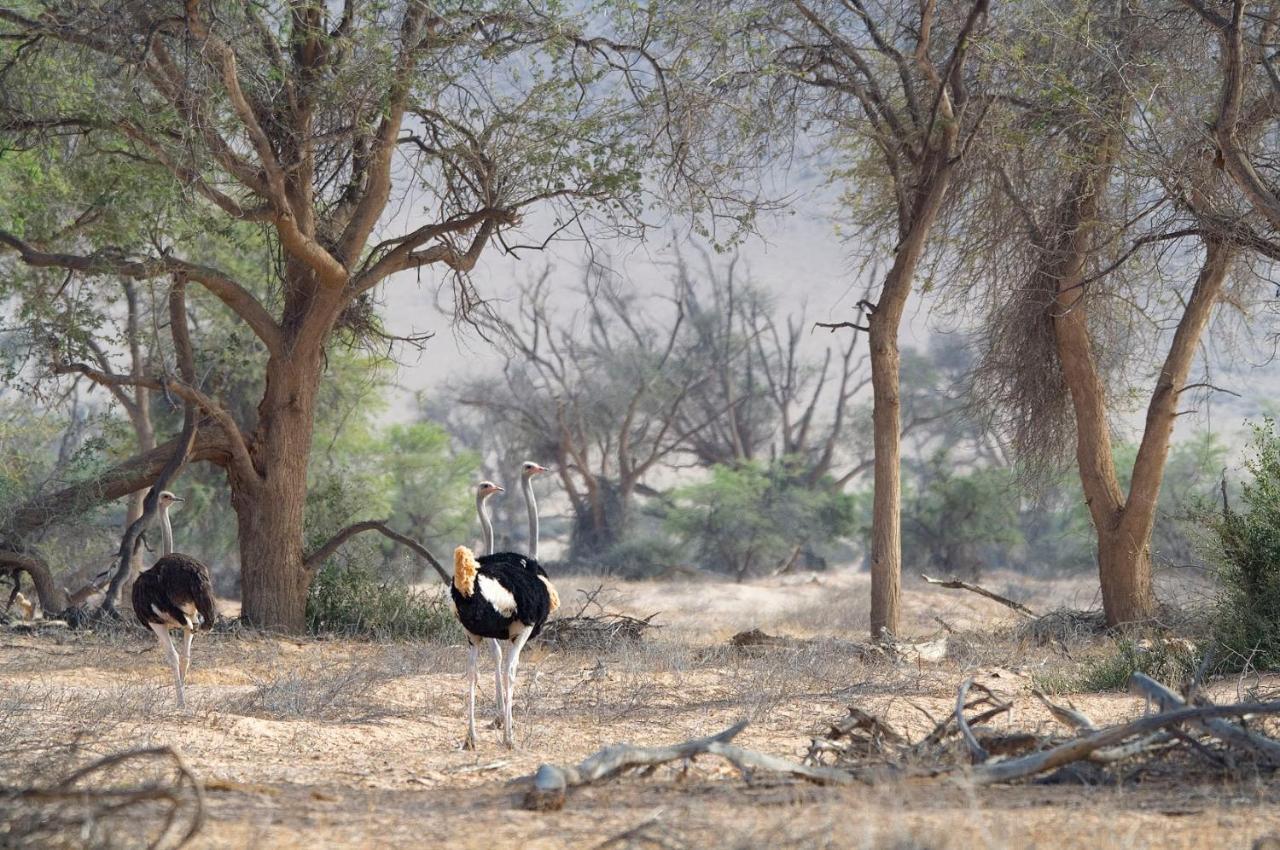 Wilderness Safaris Doro Nawas Villa Twyfelfontein Exterior foto